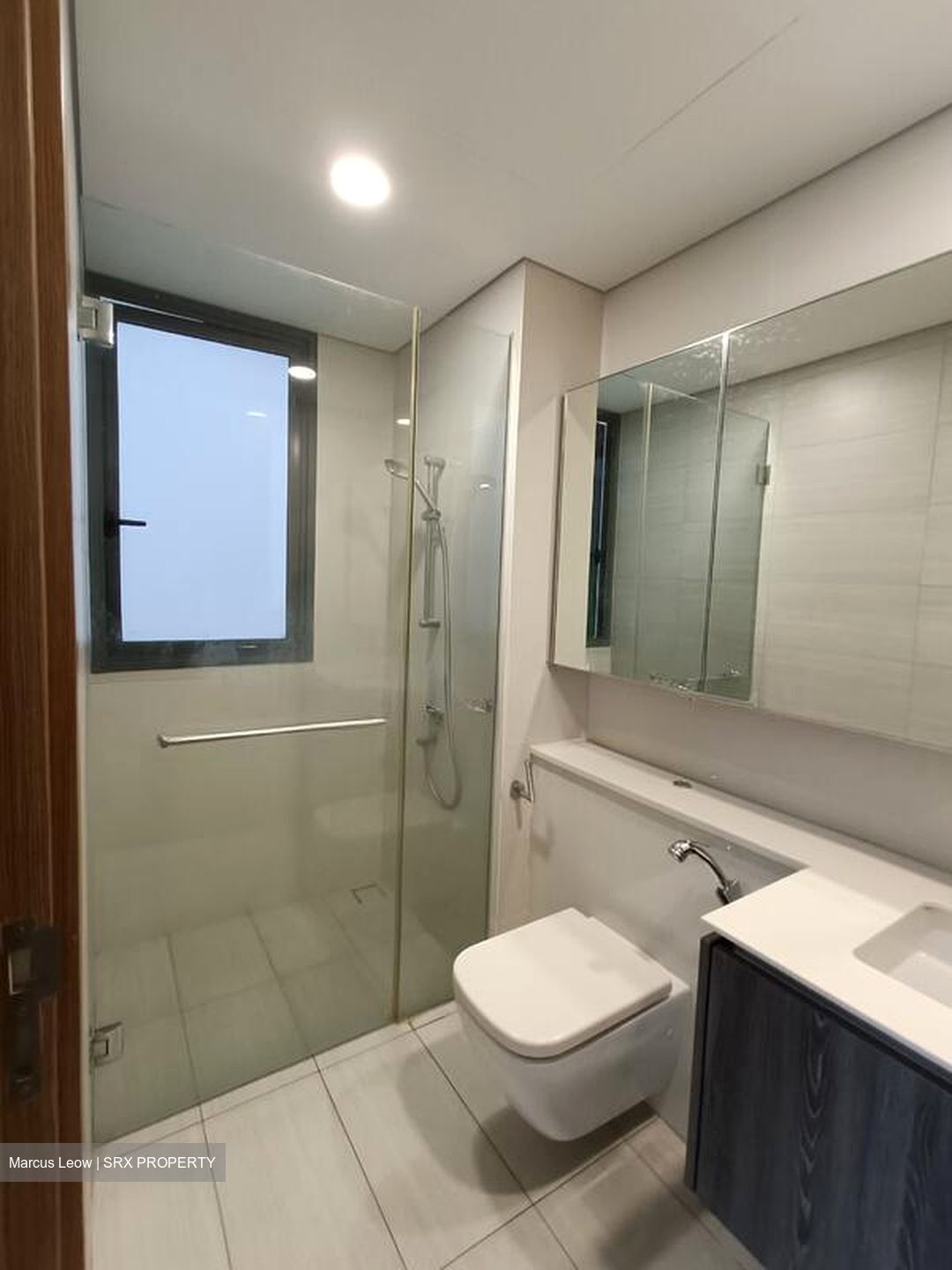 Lakeville (D22), Condominium #517614621